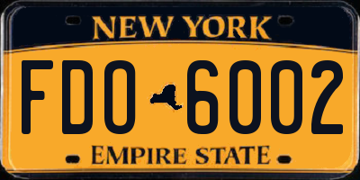 NY license plate FDO6002