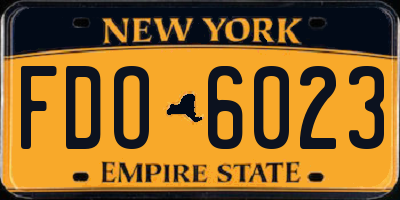 NY license plate FDO6023