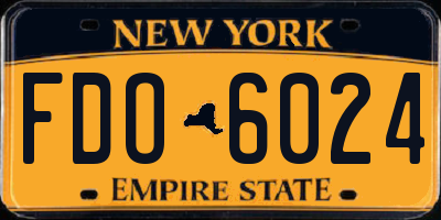 NY license plate FDO6024