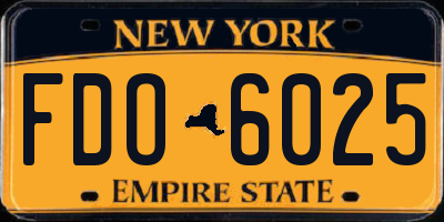 NY license plate FDO6025