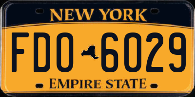 NY license plate FDO6029