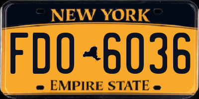NY license plate FDO6036