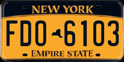 NY license plate FDO6103