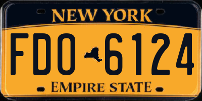 NY license plate FDO6124