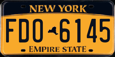 NY license plate FDO6145