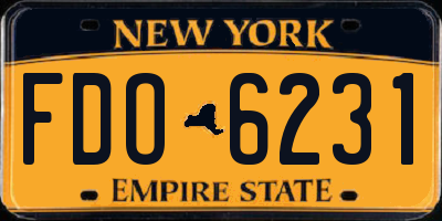 NY license plate FDO6231