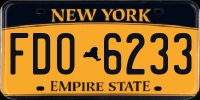 NY license plate FDO6233
