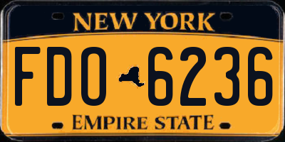 NY license plate FDO6236