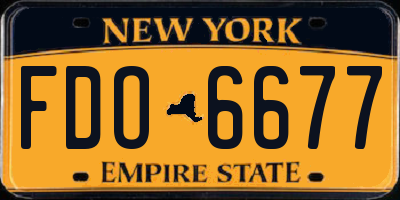 NY license plate FDO6677