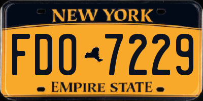 NY license plate FDO7229