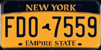 NY license plate FDO7559