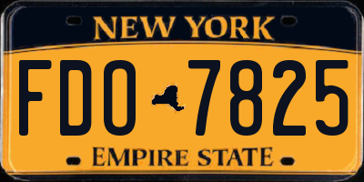 NY license plate FDO7825