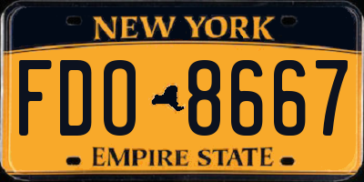 NY license plate FDO8667