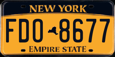 NY license plate FDO8677