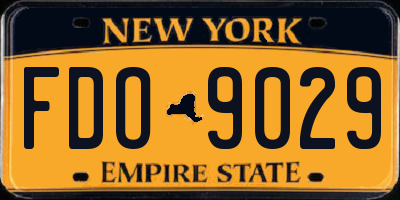 NY license plate FDO9029