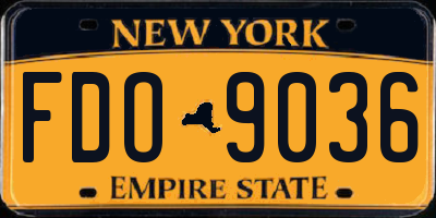 NY license plate FDO9036
