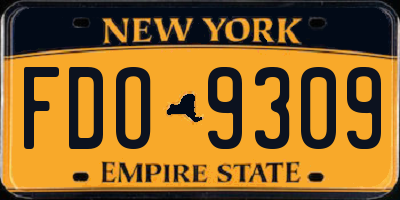 NY license plate FDO9309