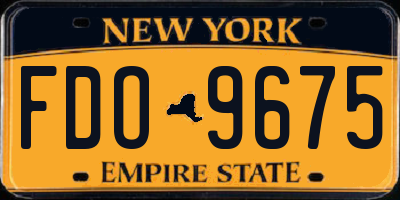 NY license plate FDO9675