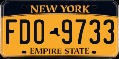 NY license plate FDO9733