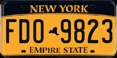 NY license plate FDO9823