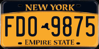 NY license plate FDO9875