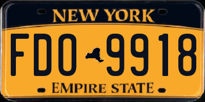 NY license plate FDO9918