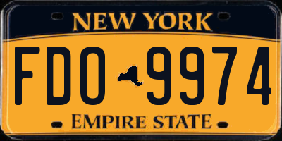 NY license plate FDO9974
