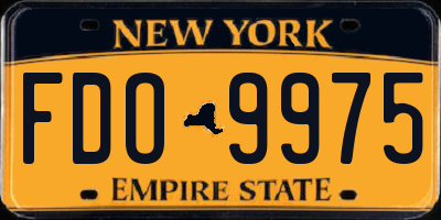 NY license plate FDO9975
