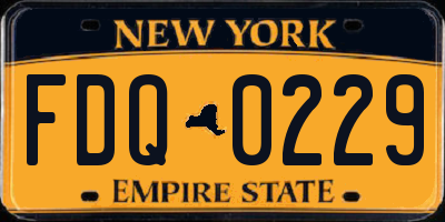 NY license plate FDQ0229