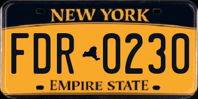 NY license plate FDR0230