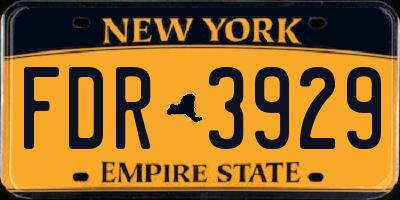 NY license plate FDR3929
