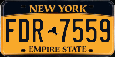 NY license plate FDR7559