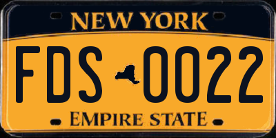 NY license plate FDS0022