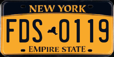 NY license plate FDS0119