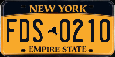 NY license plate FDS0210
