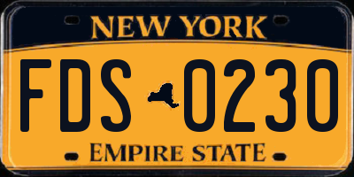 NY license plate FDS0230