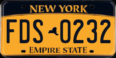 NY license plate FDS0232