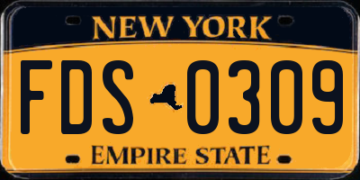 NY license plate FDS0309