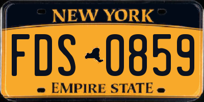 NY license plate FDS0859