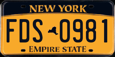 NY license plate FDS0981