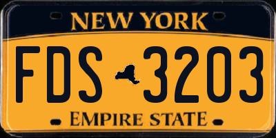NY license plate FDS3203