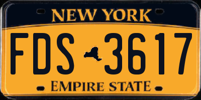 NY license plate FDS3617