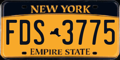 NY license plate FDS3775