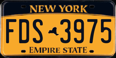 NY license plate FDS3975