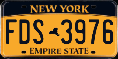 NY license plate FDS3976