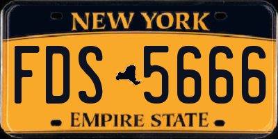 NY license plate FDS5666