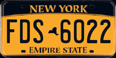 NY license plate FDS6022