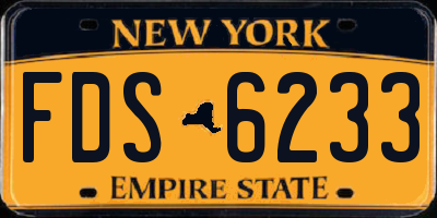 NY license plate FDS6233