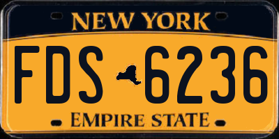 NY license plate FDS6236