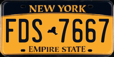 NY license plate FDS7667